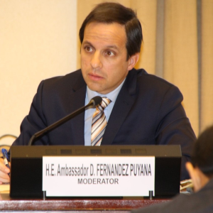 David Fernández Puyana